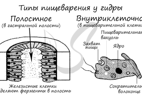 Почему не могу зайти на кракен