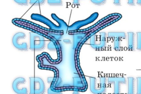 Кракен актуальная ссылка