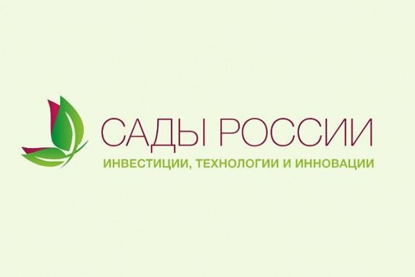 Kraken tor onion зеркало