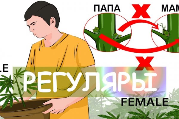 Как зайти на кракен без тора
