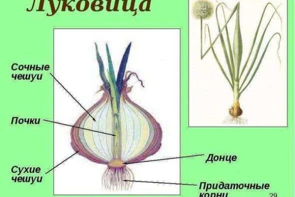 Кракен современный даркнет