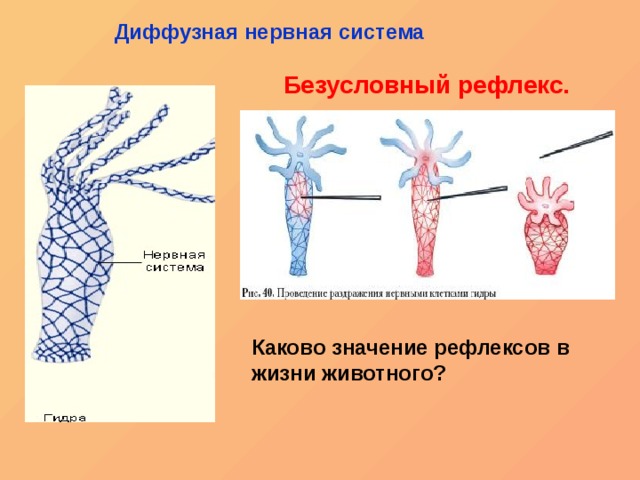 Ссылка в магазин на кракен