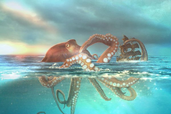 2kr pro kraken