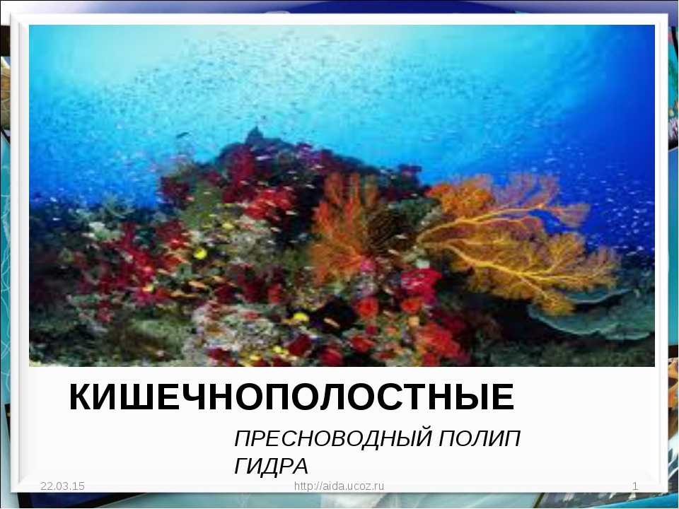 Кракен регистрация