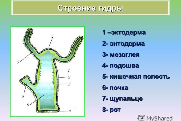 Кракен онион тор