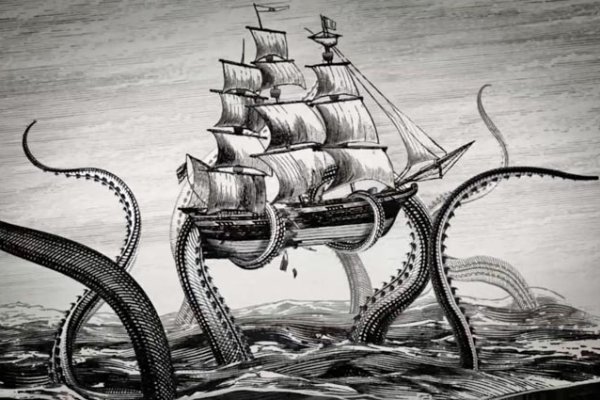 Kraken 24 top